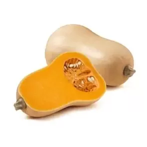 Butternut